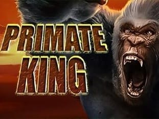 Primate King banner